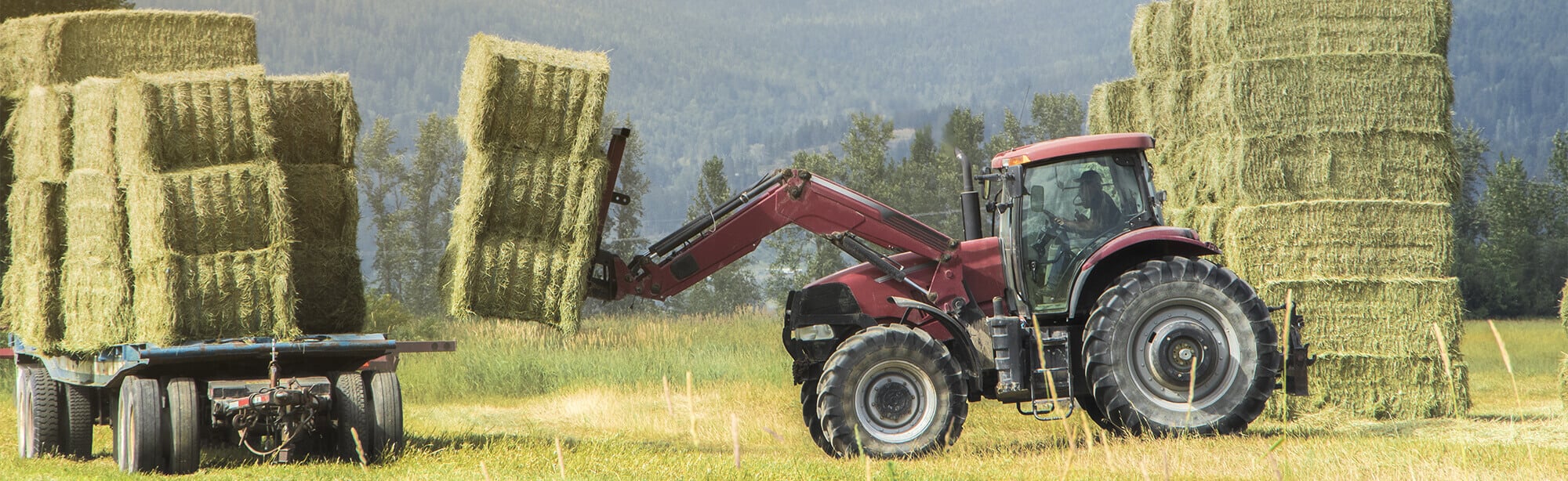 hay and forage equipment