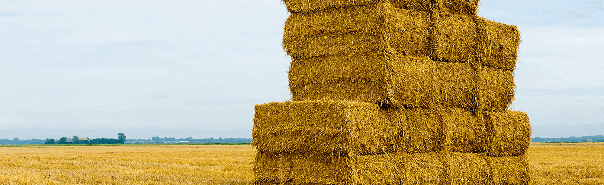 Bales of Hay