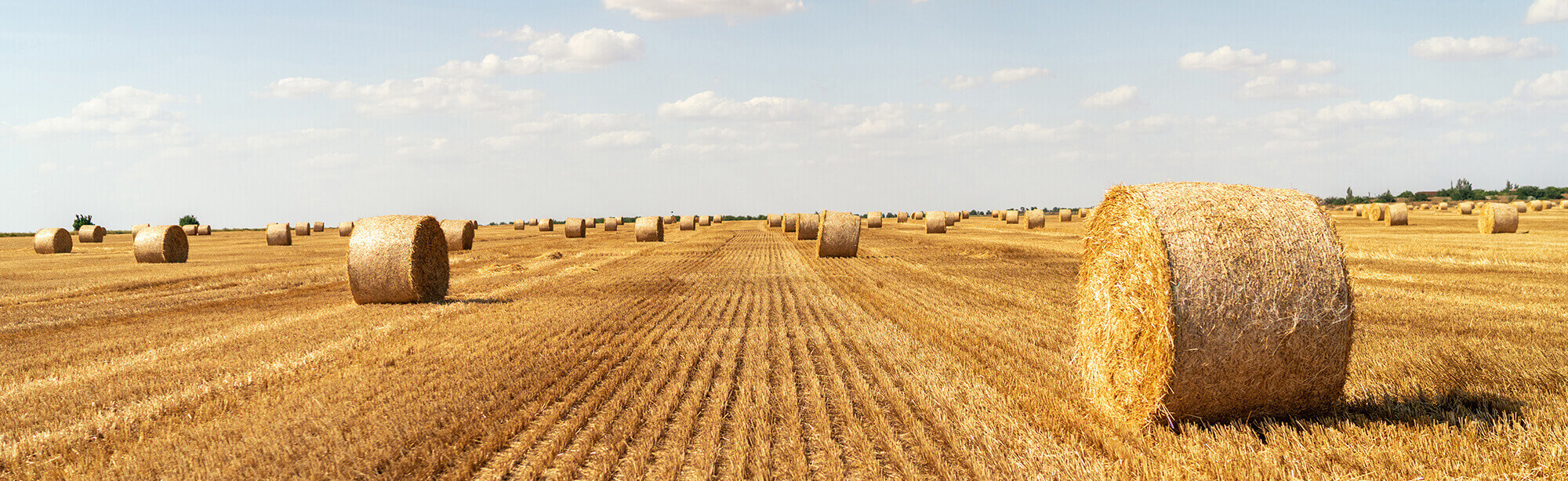 Maize Corporation Maize, KS Quality Ag Parts & Service